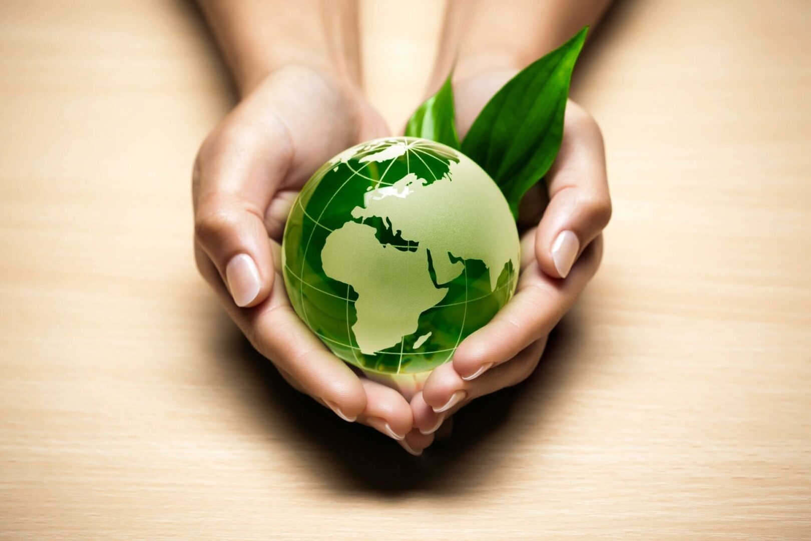 A person holding a green globe in their hands.