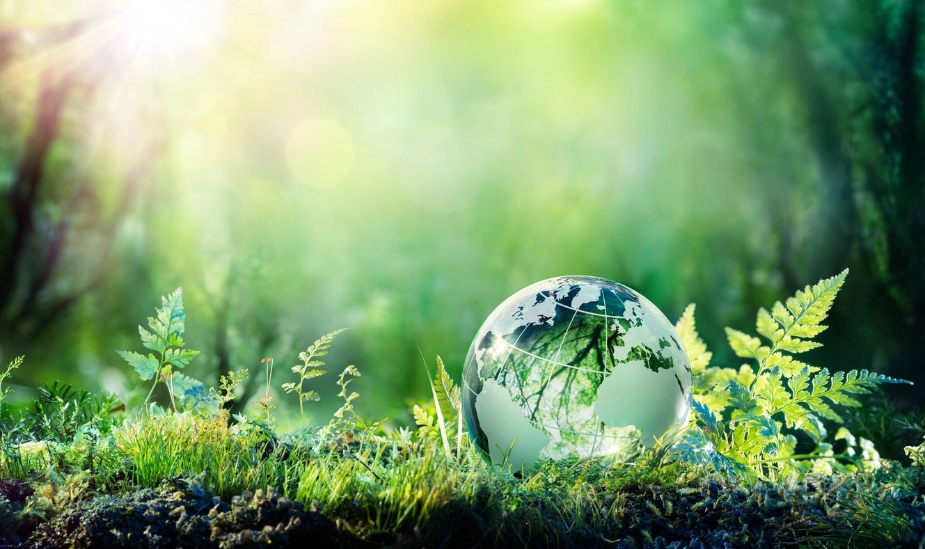 A globe sitting in the grass with trees and plants